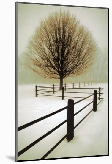 Solitude-David Winston-Mounted Art Print