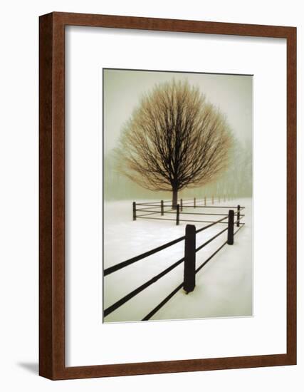 Solitude-David Winston-Framed Art Print