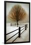 Solitude-David Winston-Framed Art Print