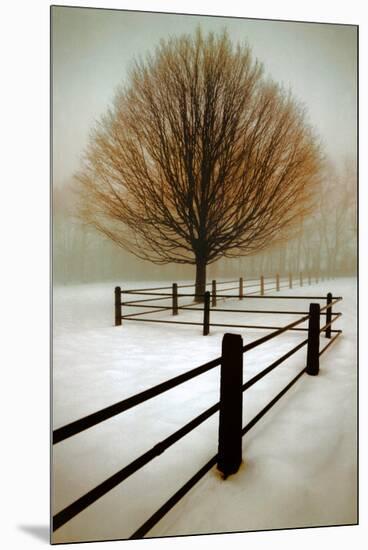 Solitude-David Winston-Mounted Art Print