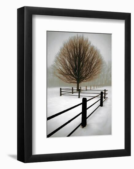 Solitude-David Winston-Framed Giclee Print