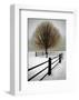 Solitude-David Winston-Framed Giclee Print