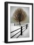 Solitude-David Winston-Framed Giclee Print