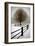 Solitude-David Winston-Framed Giclee Print