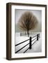 Solitude-David Winston-Framed Giclee Print