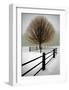 Solitude-David Winston-Framed Giclee Print