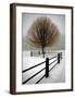 Solitude-David Winston-Framed Giclee Print