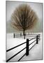 Solitude-David Winston-Mounted Giclee Print