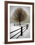 Solitude-David Winston-Framed Giclee Print