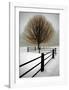 Solitude-David Winston-Framed Giclee Print