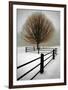 Solitude-David Winston-Framed Giclee Print