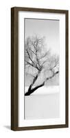 Solitude-null-Framed Art Print