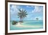 Solitude-Rick Novak-Framed Art Print