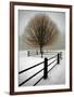 Solitude-David Lorenz Winston-Framed Art Print