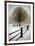 Solitude-David Lorenz Winston-Framed Art Print