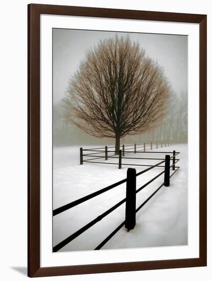 Solitude-David Lorenz Winston-Framed Art Print