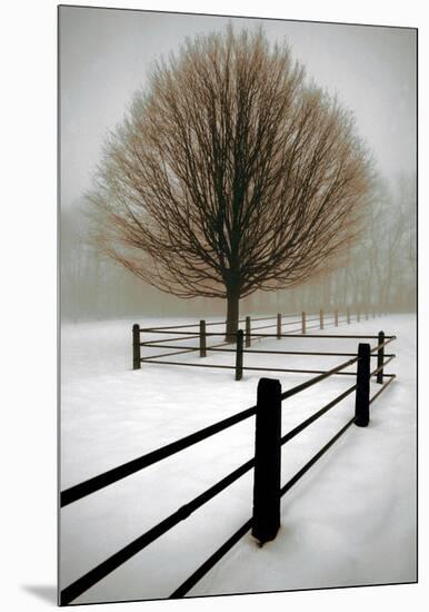 Solitude-David Lorenz Winston-Mounted Art Print