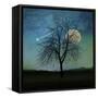 Solitude-Tina Lavoie-Framed Stretched Canvas