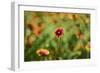 Solitude-John Gusky-Framed Photographic Print