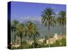 Soller, Majorca (Mallorca), Balearic Islands, Spain, Europe-John Miller-Stretched Canvas