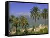 Soller, Majorca (Mallorca), Balearic Islands, Spain, Europe-John Miller-Framed Stretched Canvas