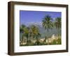 Soller, Majorca (Mallorca), Balearic Islands, Spain, Europe-John Miller-Framed Photographic Print