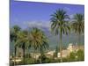 Soller, Majorca (Mallorca), Balearic Islands, Spain, Europe-John Miller-Mounted Photographic Print