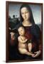 Solly Madonna, C.1502-Raphael-Framed Giclee Print