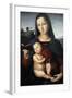 Solly Madonna, C.1502-Raphael-Framed Giclee Print