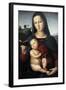 Solly Madonna, C.1502-Raphael-Framed Giclee Print