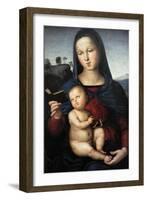 Solly Madonna, C.1502-Raphael-Framed Giclee Print