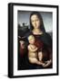 Solly Madonna, C.1502-Raphael-Framed Giclee Print