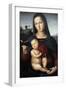 Solly Madonna, C.1502-Raphael-Framed Giclee Print