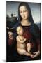 Solly Madonna, C.1502-Raphael-Mounted Giclee Print