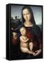 Solly Madonna, C.1502-Raphael-Framed Stretched Canvas