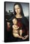 Solly Madonna, C.1502-Raphael-Framed Stretched Canvas