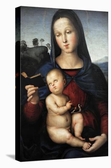 Solly Madonna, C.1502-Raphael-Stretched Canvas