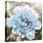 Solo Blue I-Shawna Sullivan-Stretched Canvas