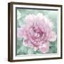 Solo Blush I-Shawna Sullivan-Framed Art Print