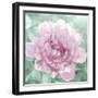 Solo Blush I-Shawna Sullivan-Framed Art Print