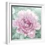 Solo Blush I-Shawna Sullivan-Framed Art Print