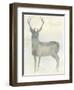 Solo Deer 2-Beverly Dyer-Framed Art Print