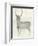 Solo Deer 2-Beverly Dyer-Framed Art Print