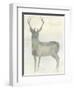 Solo Deer 2-Beverly Dyer-Framed Art Print