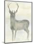 Solo Deer 2-Beverly Dyer-Mounted Art Print