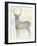 Solo Deer 2-Beverly Dyer-Framed Art Print