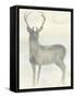 Solo Deer 2-Beverly Dyer-Framed Stretched Canvas