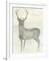 Solo Deer 2-Beverly Dyer-Framed Art Print