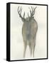 Solo Deer-Beverly Dyer-Framed Stretched Canvas