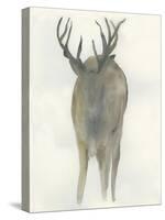 Solo Deer-Beverly Dyer-Stretched Canvas